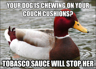 Malicious Advice Mallard
