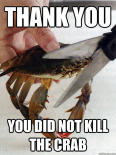 Optimistic Crab