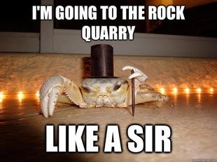Fancy Crab
