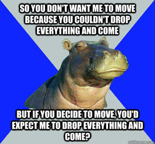 Skeptical Hippo