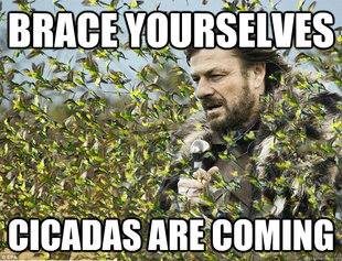 Brace Yourselves