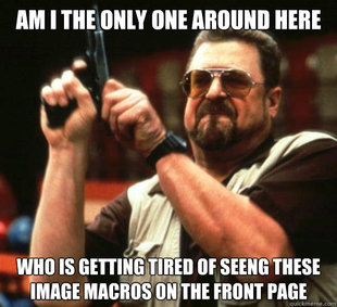 Am I The Only One Around Here