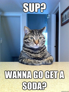 Chris Hansen Cat