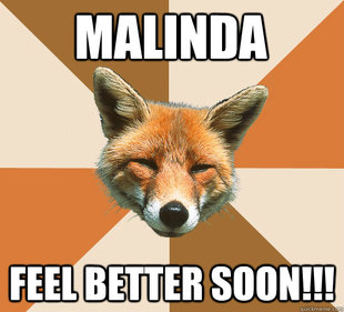 Condescending Fox