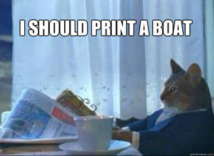 I should buy a boat cat