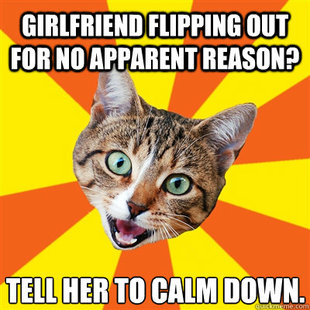 Bad Advice Cat