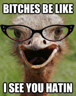 Judgmental Bookseller Ostrich