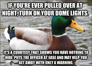 Actual Advice Mallard