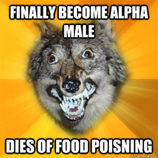 Retarded Wolf