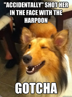 implying dog