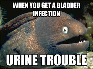 Bad Joke Eel