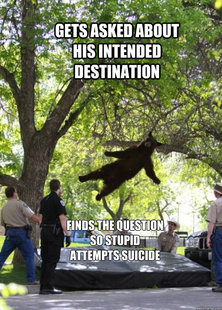 Falling Bear
