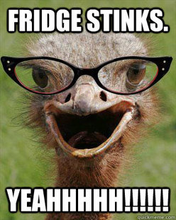 Judgmental Bookseller Ostrich