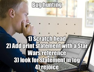 Programmer