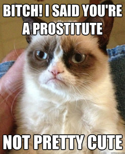 Grumpy cat