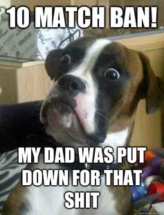 Baffled boxer