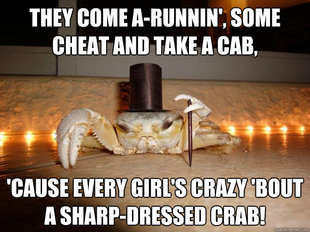 Fancy Crab
