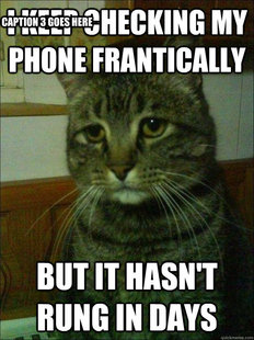 Depressed cat
