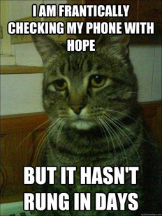 Depressed cat