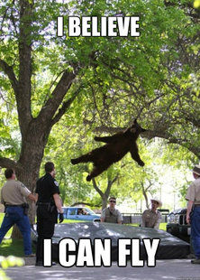 i am a falling bear