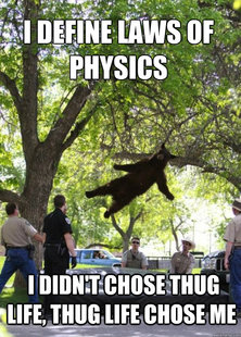 i am a falling bear
