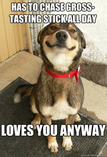 Good Dog Greg