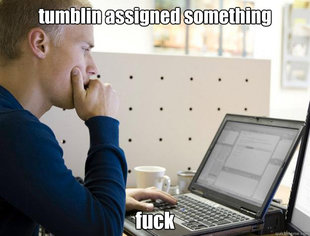 Programmer