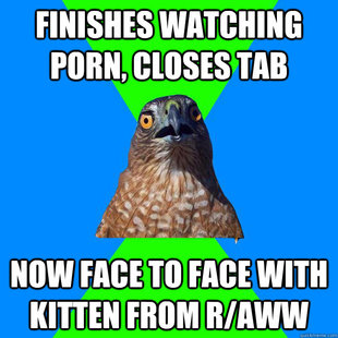 Hawkward