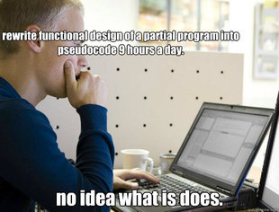 Programmer