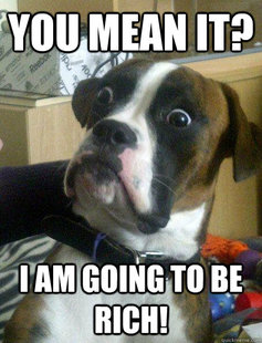 Baffled boxer