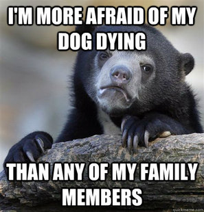 confessionbear