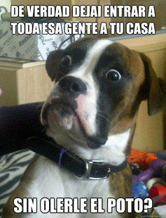 Baffled boxer