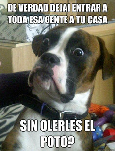 Baffled boxer