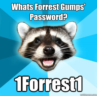 Lame Pun Coon