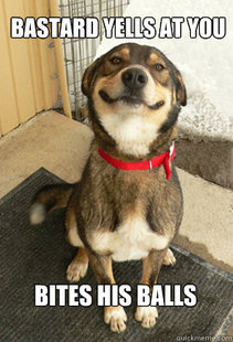 Good Dog Greg