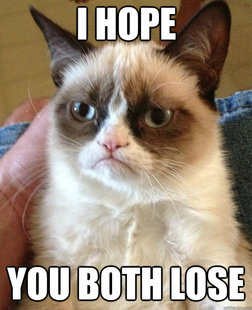 Grumpy Cat