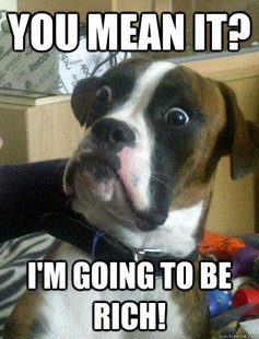 Baffled boxer