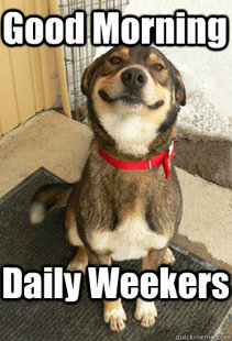 Good Dog Greg