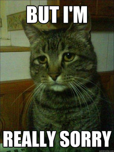 Depressed cat