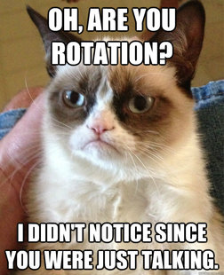 Grumpy cat