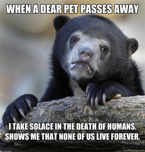 confession bear