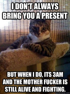 The Most Interesting Cat in the World