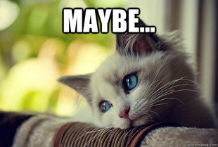 First World Cat Problems