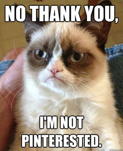 Grumpy cat