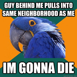Paranoid Parrot