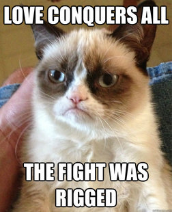 Grumpy cat