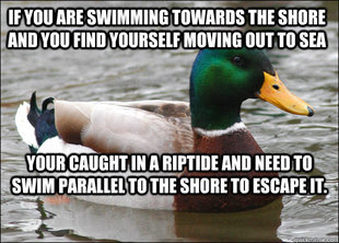 Actual Advice Mallard
