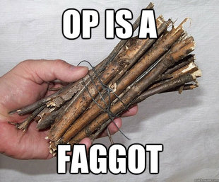 OP is such a faggot