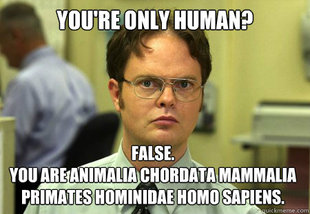 Dwight