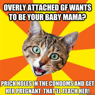 Bad Advice Cat